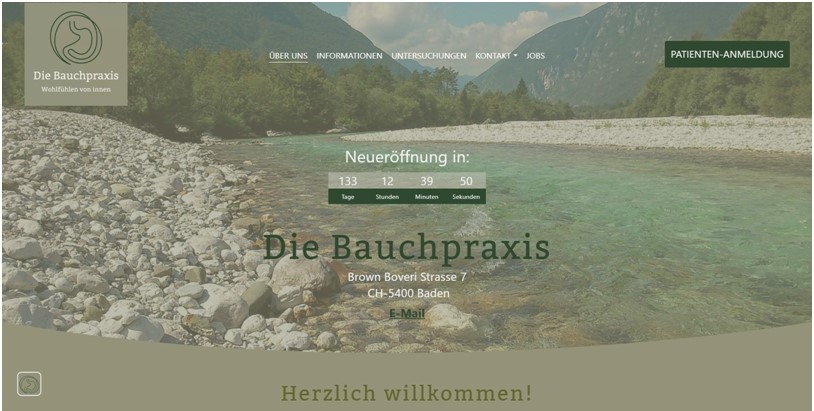 Website Die Bauchpraxis